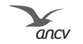 logo ANCV